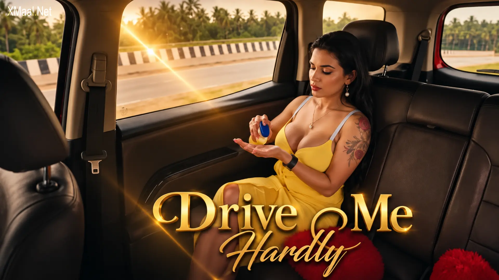 Drive Me Hardly